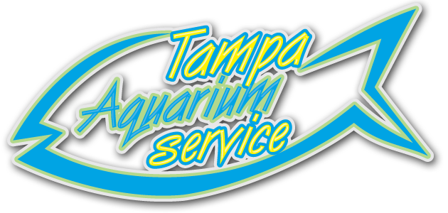 Custom Aquarium Design, Service And Maintenance In Tampa