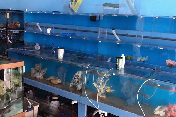Tampa Aquarium Service Quarantine Facility