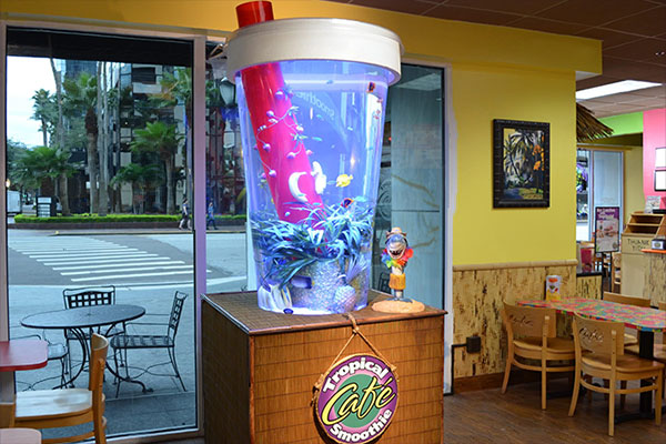 Tampa Aquarium Service Commercial Installations
