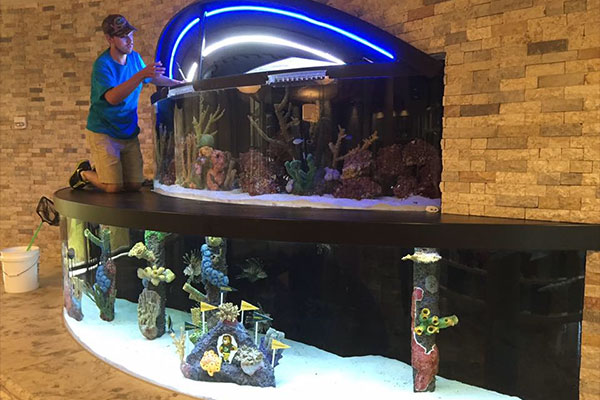 Servicing the 2,100 gallon saltwater aquarium at St. Leo’s University