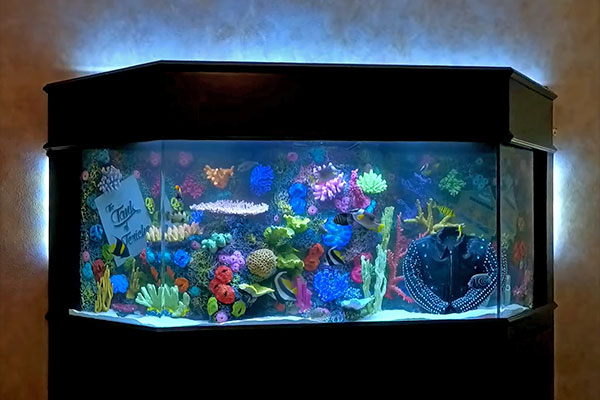 Tampa Aquarium Service Residential Installation